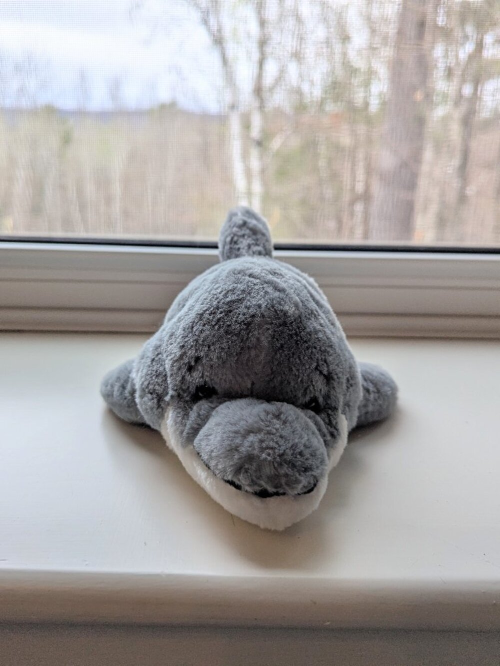 Webkinz - Bottlenose Dolphin - no code
